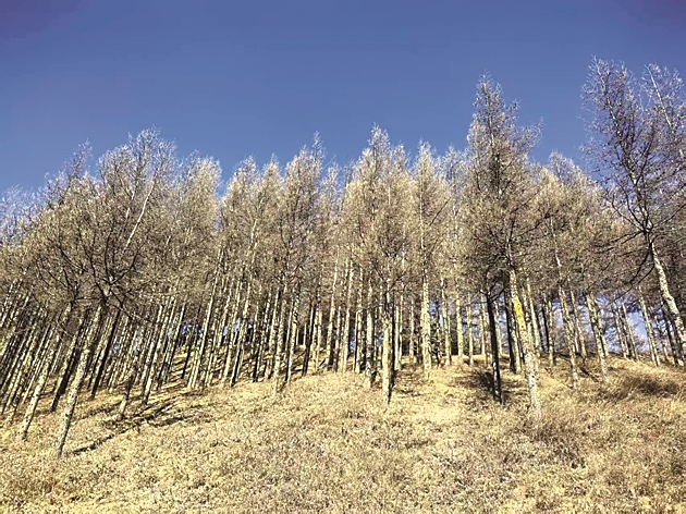 【新春走基层·走进西海固】那块原本贫瘠的土地，“肥沃”起来了
