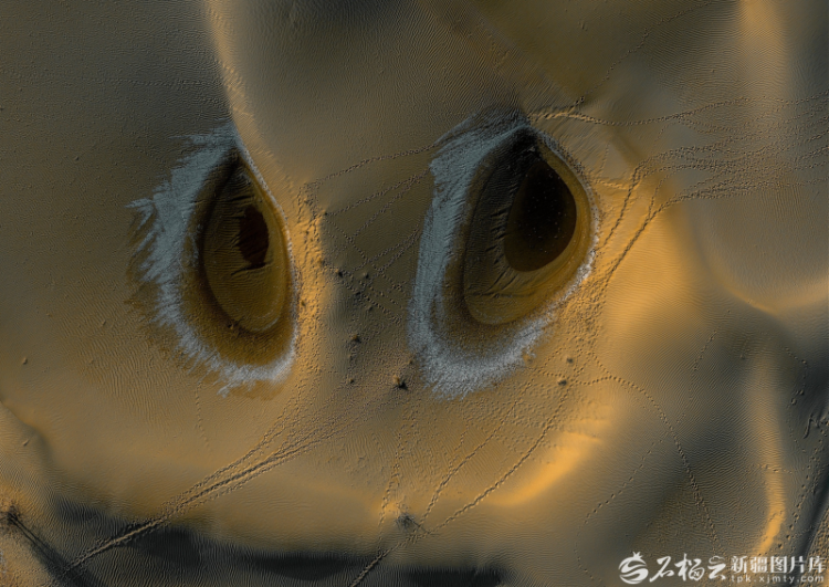 生态输水绘奇观：塔克拉玛干沙漠“飞”出金凤凰