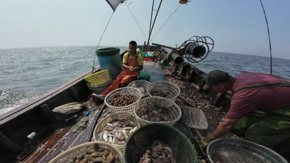 行进的海岸线 | 大鹿岛兴岛富民记：失而复得的“山不转水转”