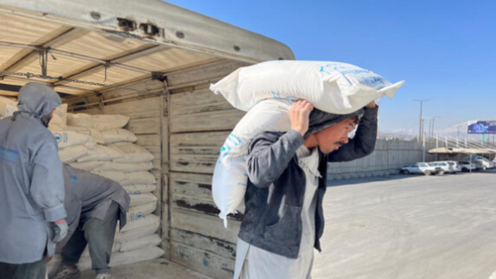 闪评 | 中东局势紧张催生新型粮荒 专家：稳油价与落实援助是破局关键