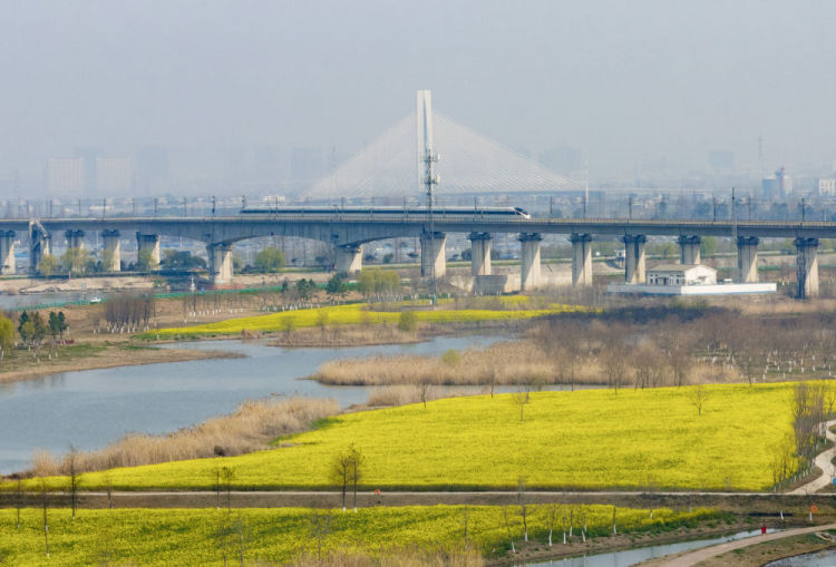 习近平总书记同人大代表、政协委员共商国是纪实_fororder_7