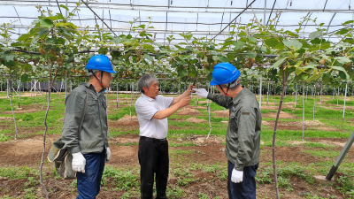 State Grid Nanyang Ensures Stable Power Supply for Agricultural Irrigation