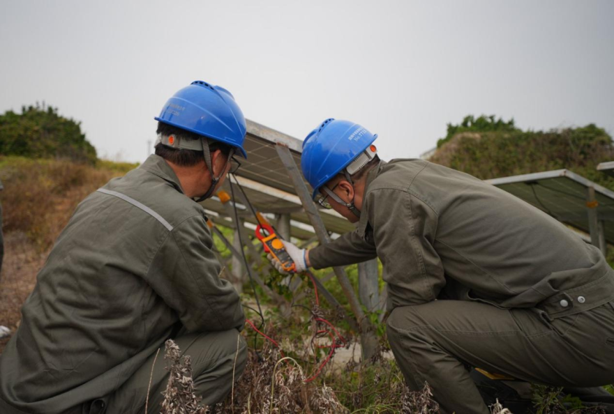Wenzhou, Zhejiang: “Green Power Ark” Welcomes the Return of the “Mythical Bird”_fororder_图片2
