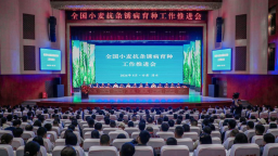 全国小麦抗条锈病育种工作推进会在天水市清水县召开