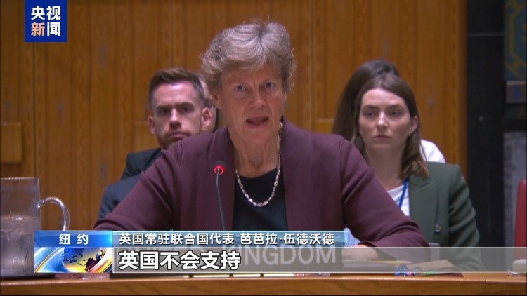 央视记者观察丨“将援助与政治挂钩” 多国反对以色列加沙人道援助计划
