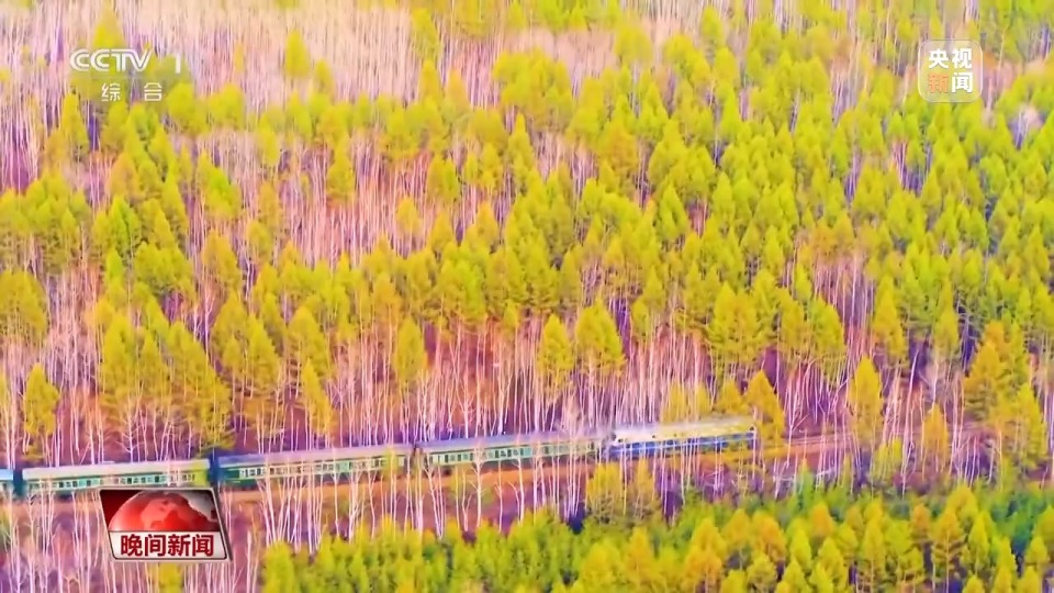 看见美丽中国丨停伐十年 看“绿色宝库”大兴安岭的转型路→