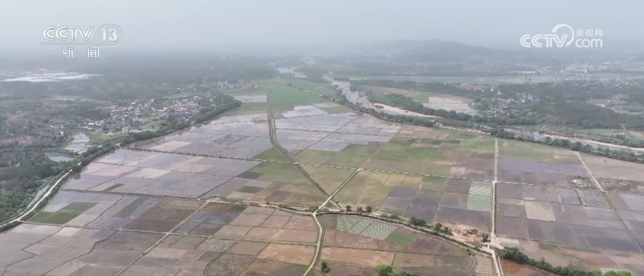 AI模型、“北斗”、物联网……智慧农业成为田间地头新常态