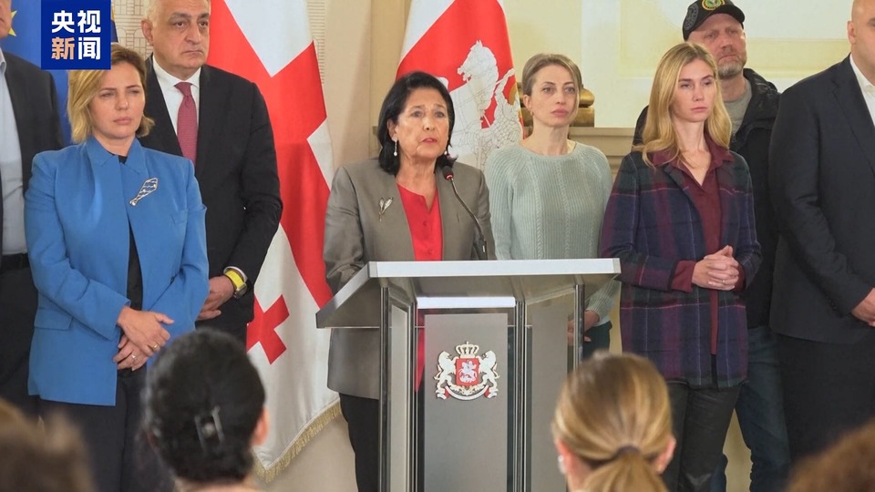 格鲁吉亚议会选举结果遭美西方无端质疑 格总理:选举合法