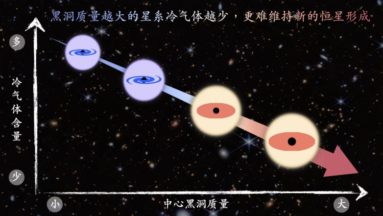 这些成果何以入选“中国科学十大进展”？一文了解