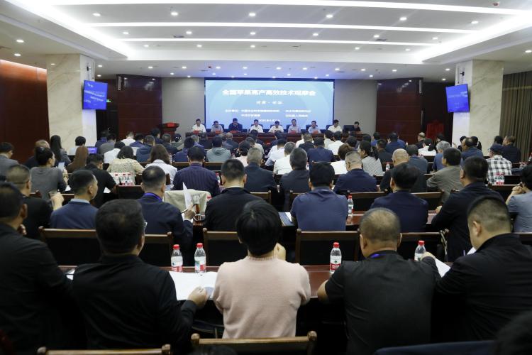 全国苹果高产高效技术观摩会在甘谷举行_fororder_1