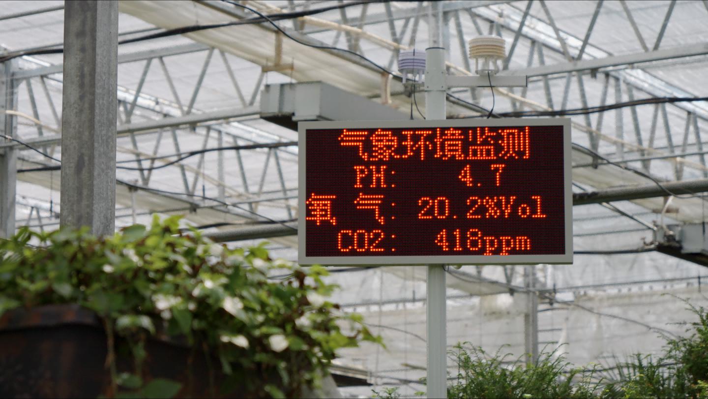 辉煌60年·我们的家园｜高原上的"新农人"