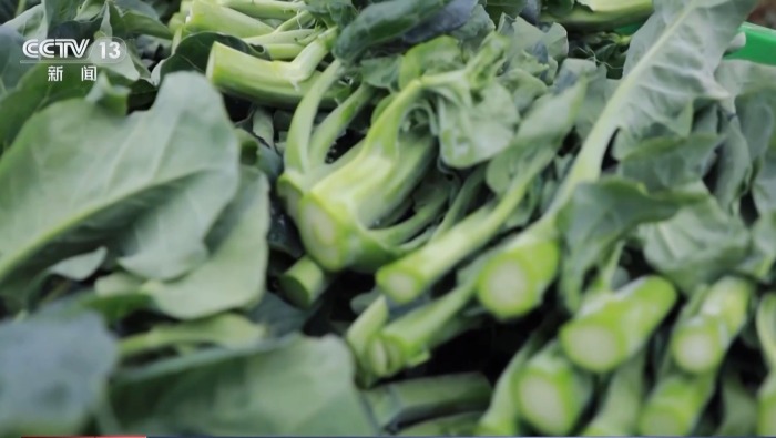 视频丨今日小寒 我国大部进入全年最冷时段