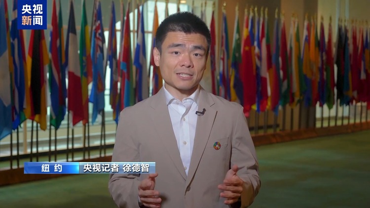 美国否决加沙停火决议、人道车队遭抢劫……联合国本周继续聚焦中东局势