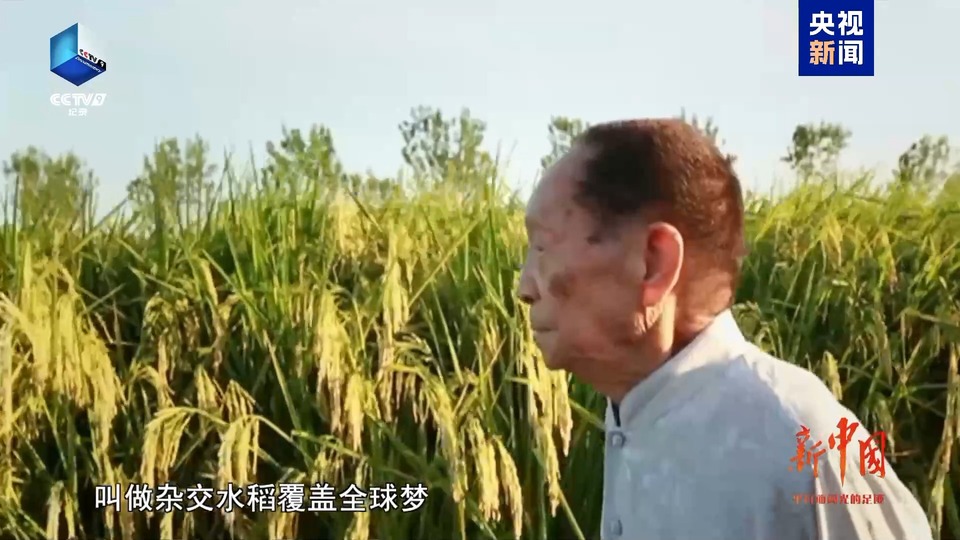 对于水稻，他爱得深沉