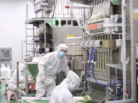 砥砺奋进七十载 天山南北谱华章丨从沙漠之舟到产业之舟 新疆骆驼产业用上智能化生产线