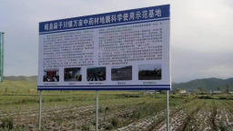 定西岷县：做好废旧农膜回收 守护绿色田园