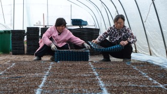 蚌埠市五河县：立春将至农事忙