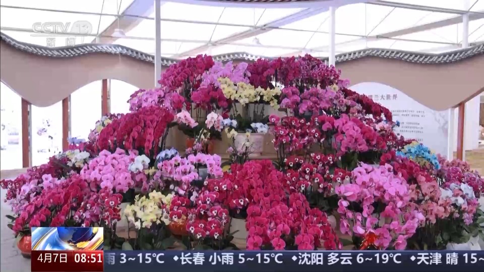 以花为媒 农耕文化玩出了新花样