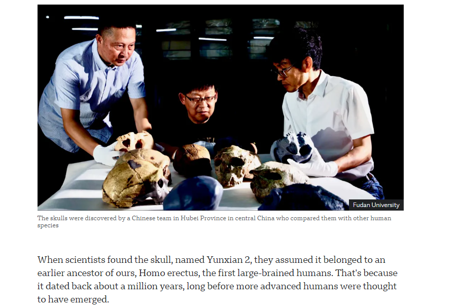 最新研究显示：百万年前头骨化石 刷新人类演化时间线