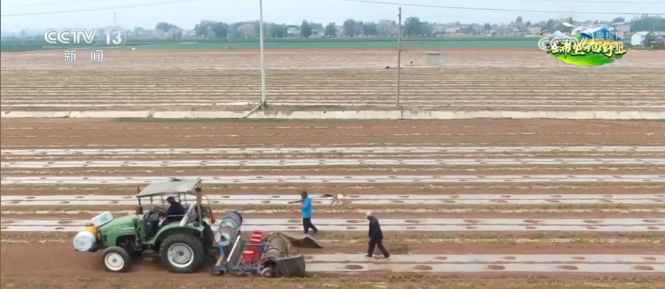 AI模型、“北斗”、物联网……智慧农业成为田间地头新常态