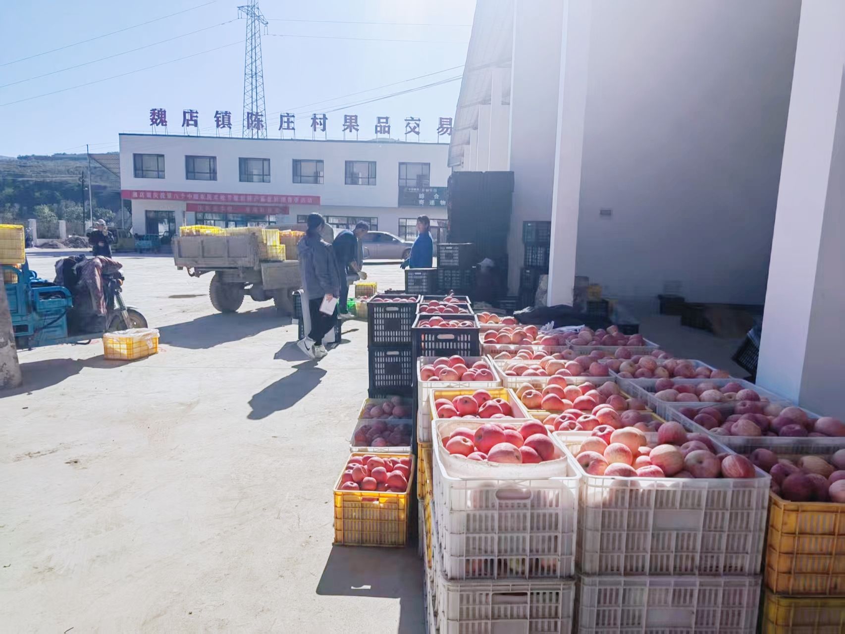 天水秦安魏店镇：强村公司激活产业新动能_fororder_(3)4