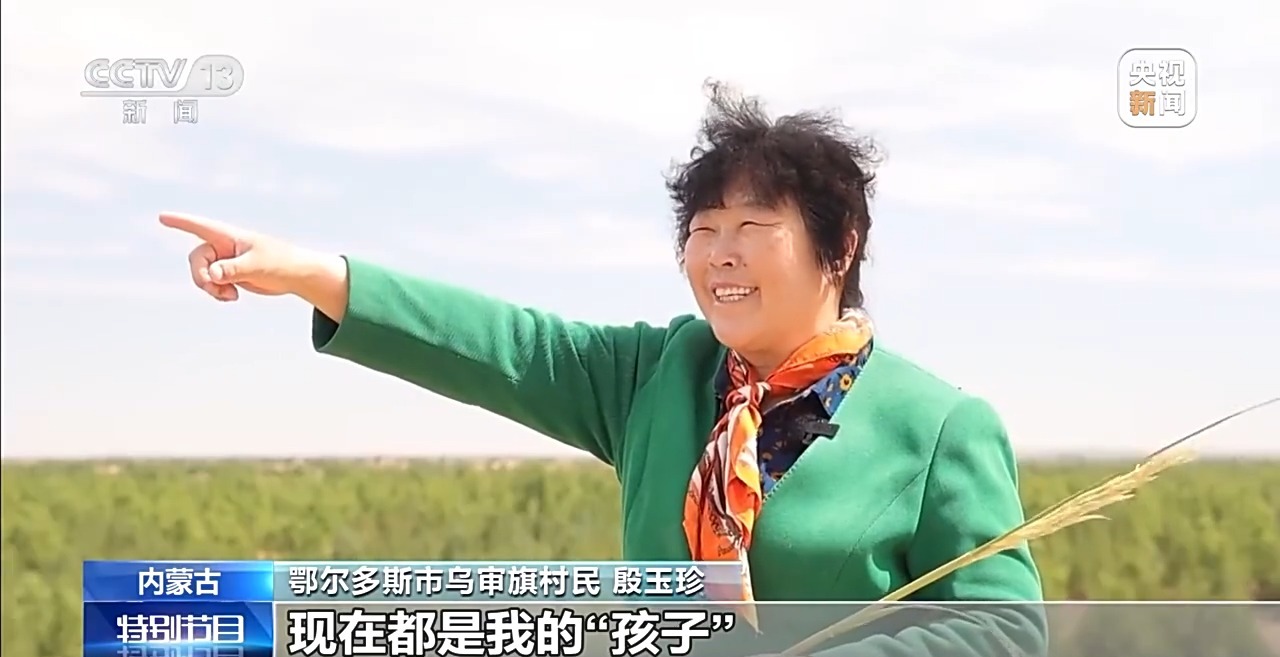 毛乌素沙地治理率已达80% 下一个目标：100%！