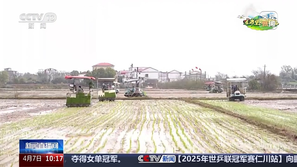 让麦田喝上“聪明水”、百合种植新技术……清明时节农事忙