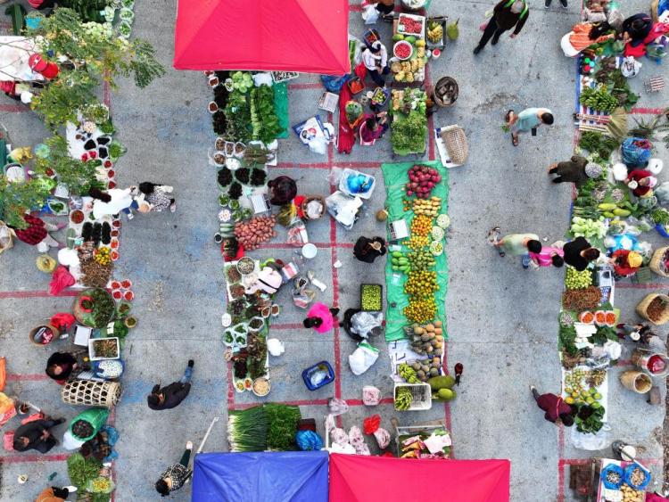 春日经济一线观察丨舌尖春味 激活消费新潜力