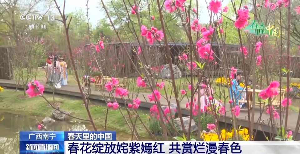 春日限定花海上线 赶紧来这些宝藏地打卡吧