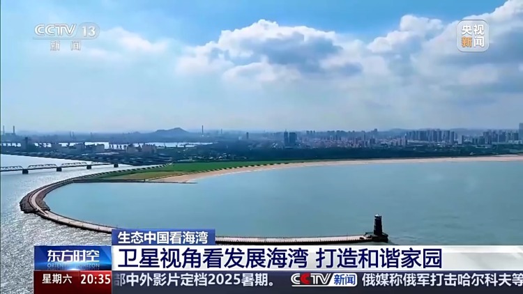保护潮起潮落间的美丽！看，这是建设海湾的“硬核”实力