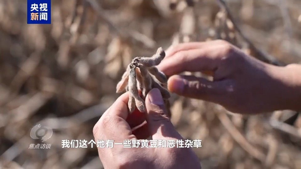 焦点访谈丨筑牢大国粮仓 中国人的饭碗端得更牢更稳