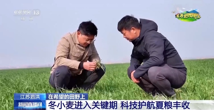 智能化育秧、无人机施肥、机器播种 “智慧春耕”正在进行中