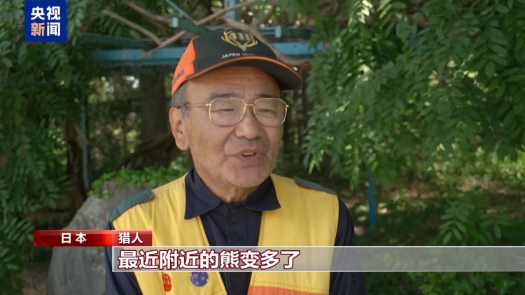 视频丨“熊出没”频发 日本栃木县举行演习应对熊患