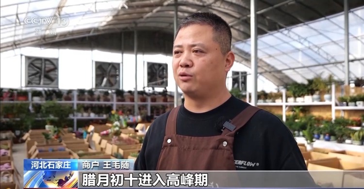 新年“好市”多！非遗集市人气旺 创意年宵花热销中