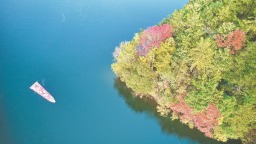 从“一水共护”迈向“一域共富”