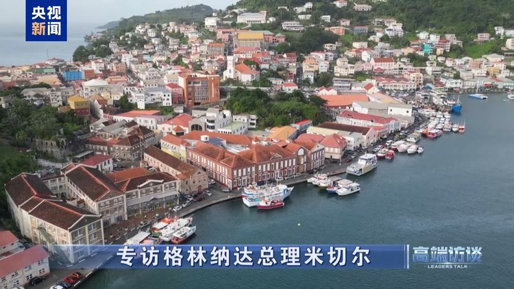 高端访谈丨专访格林纳达总理米切尔