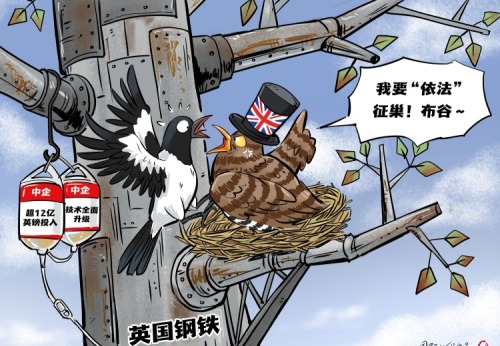 【国际漫评】鸠占鹊巢