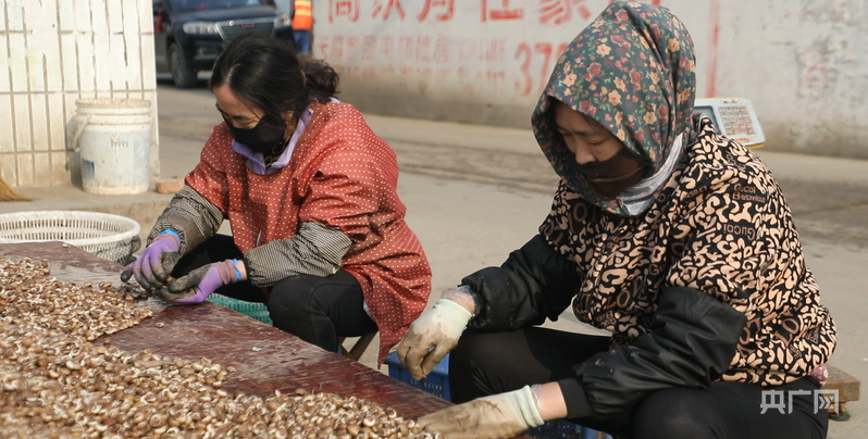 行进的海岸线丨渤海湾畔“渔旅融合” 小渔村启动蓝色新引擎