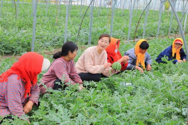 【好评中国·追光青年】“兴村新锐”为乡村发展注入青春动能
