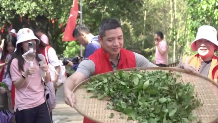 新华视点丨春日焕新景 产业促振兴