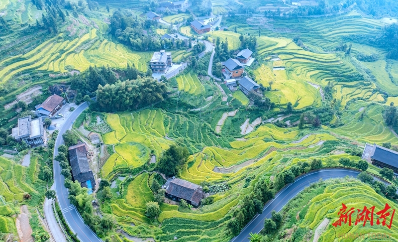 图片默认标题_fororder_1756687335114