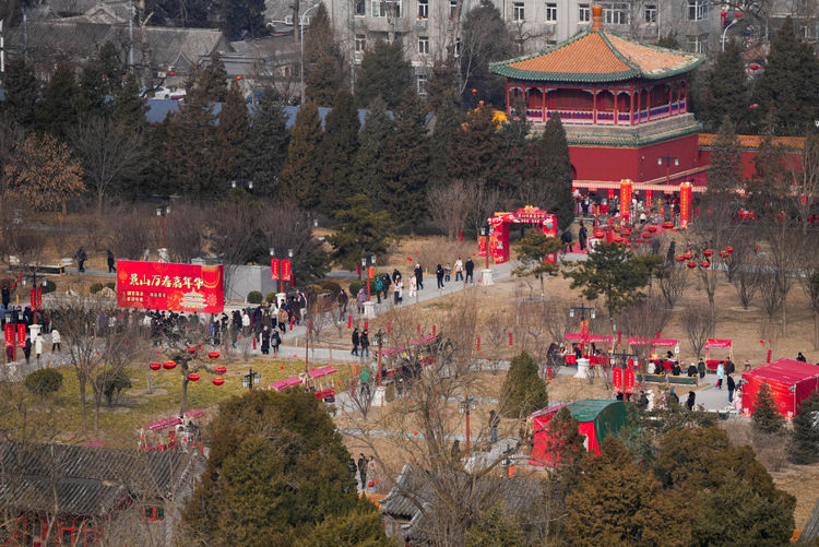 国际观察|春节消费亮点纷呈 世界看好中国商机