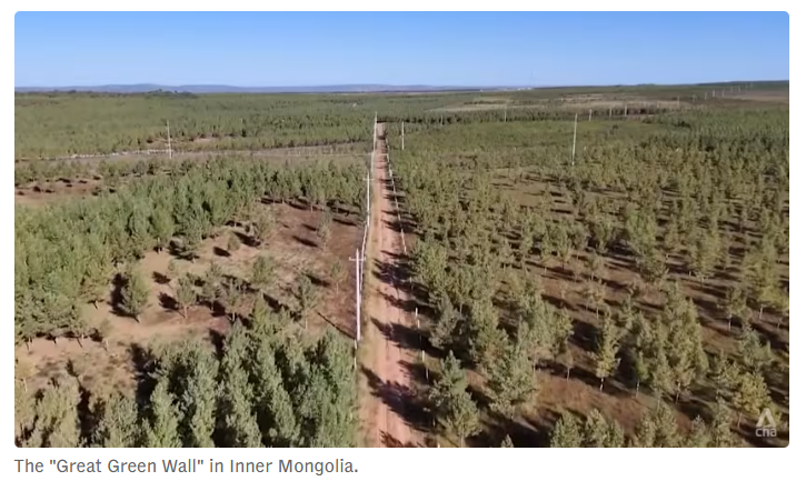 全球媒体聚焦 | 外媒：中国“绿色长城”创造治沙奇迹
