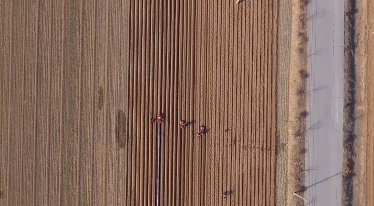 人勤春来早！工厂鸣笛开产，工程提速开工，山东全力冲刺新春“第一跑”