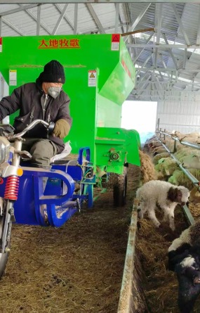 从“草原放牧”到“数字牧歌” ——呼伦贝尔以溯源体系建设赋能畜牧产业升级