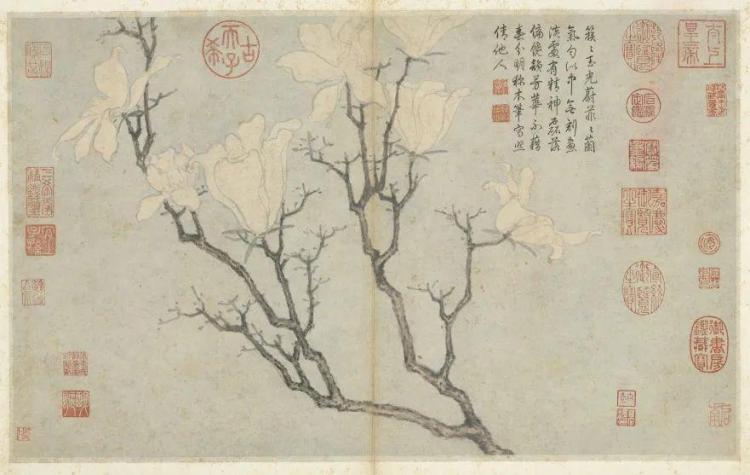 文化中国行·文博日历丨早春玉兰开 一起到全国古迹去追花（附打卡攻略）