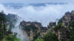 图片默认标题