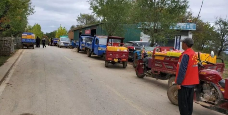 天水秦安莲花镇：党建引领多维发力 苹果产销迎“丰收答卷”_fororder_wechat_2025-10-17_113522_615