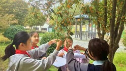 金华市金东区赤松小学开展“享桂香”项目化学习实践活动