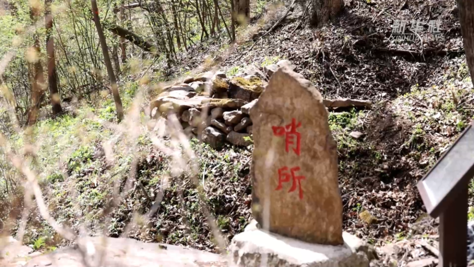 山河印记·寻访抗战足迹｜“响木”清脆 抗联密营里的“密电波”